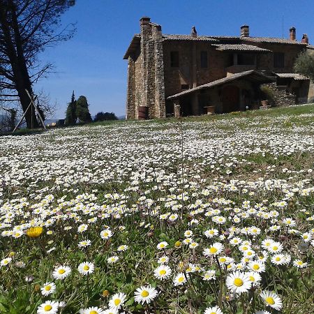 Agriturismo Le Roghete Acquapendente Kültér fotó