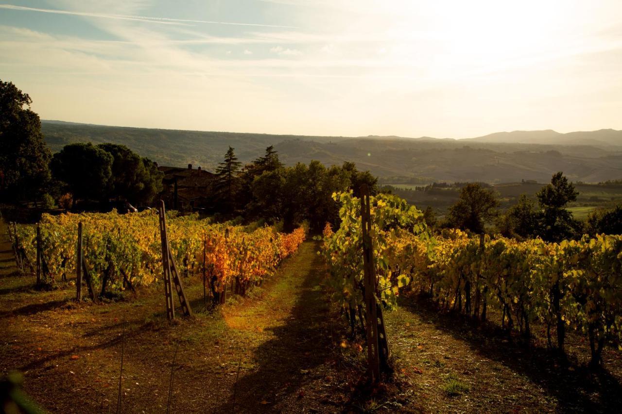 Agriturismo Le Roghete Acquapendente Kültér fotó