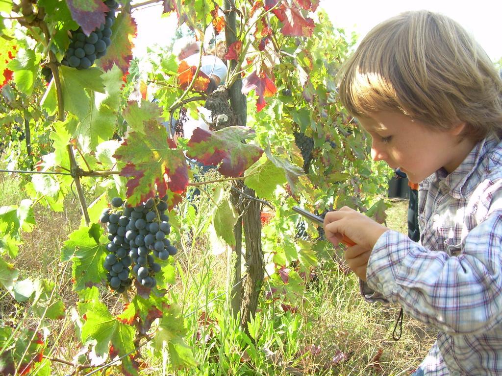 Agriturismo Le Roghete Acquapendente Kültér fotó