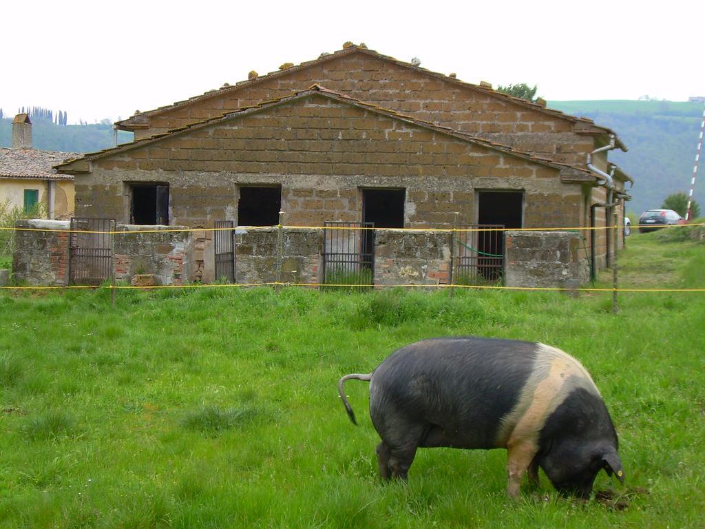 Agriturismo Le Roghete Acquapendente Kültér fotó