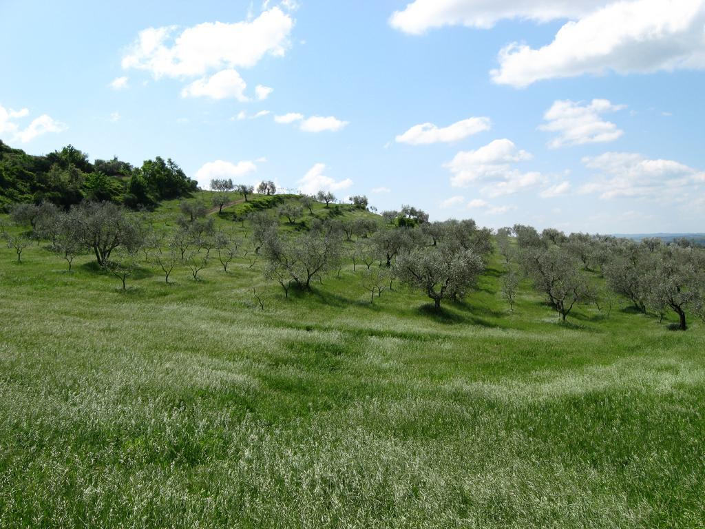 Agriturismo Le Roghete Acquapendente Kültér fotó