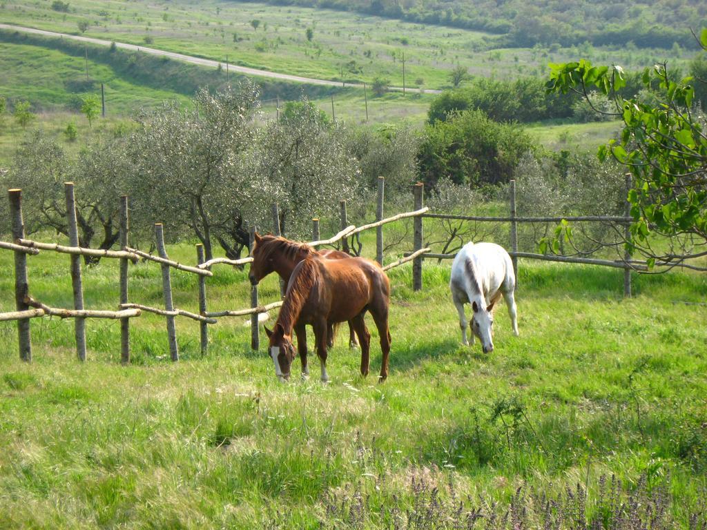 Agriturismo Le Roghete Acquapendente Kültér fotó