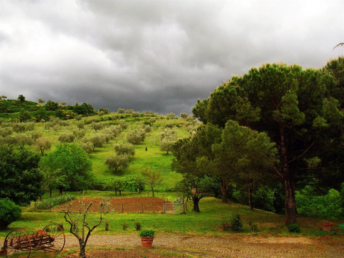 Agriturismo Le Roghete Acquapendente Kültér fotó